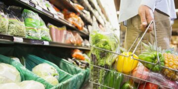 The Current US Food Safety System