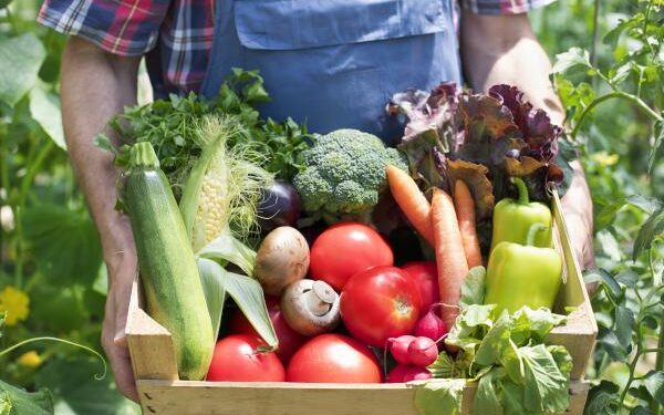 HEALTHY FOOD IS ESSENTIAL FOR ALL