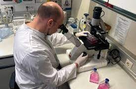 Israel Reports First Case of Monkeypox, Suspects Others