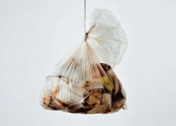 Food Waste in America in 2022