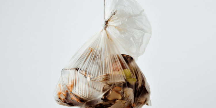 Food Waste in America in 2022