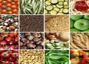 Testing requirements for export of food items