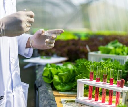 Need of Nutritional Testing & Labelling