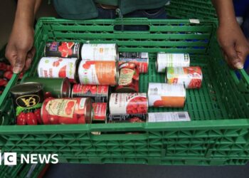 Cornwall sees big rise in food aid providers