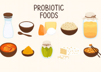How Fermented Foods Support Gut Health
