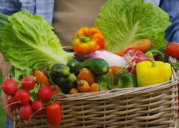 The Art of Cooking with Fresh Ingredients