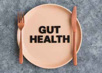 The Role of Fermented Foods in Gut Health