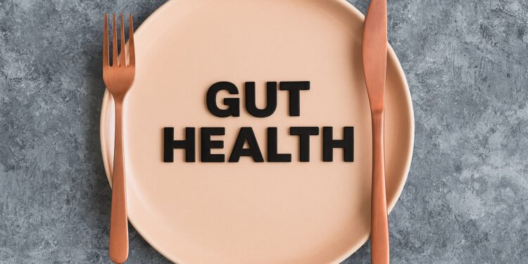 The Role of Fermented Foods in Gut Health